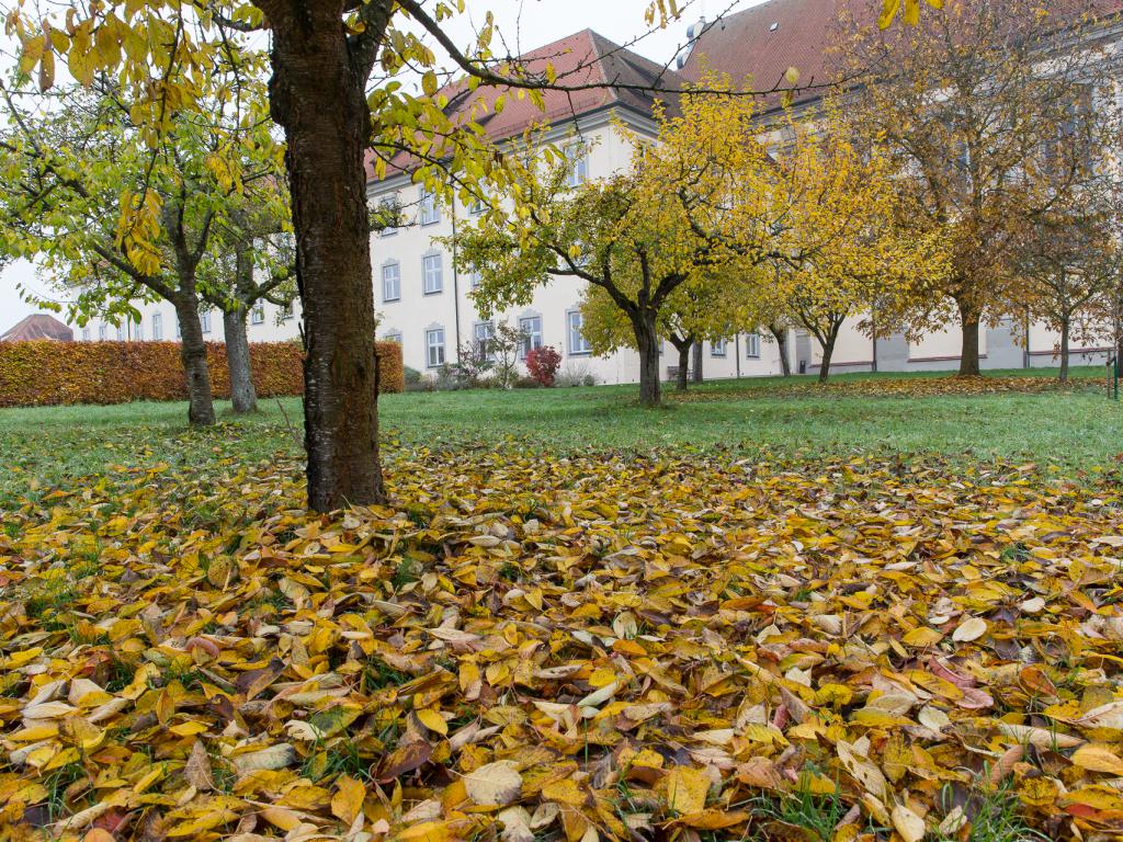 A Hotel In A Monastery Between Augsburg And Donauworth Kloster Holzen Allmannshofen